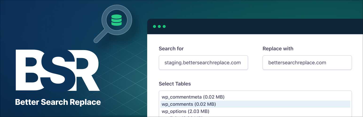 better-search-replace-1